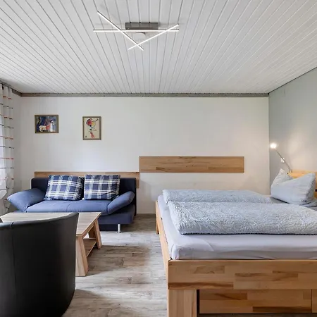 公寓 Ruhig Wohnen In Sulz 索兹阿奈卡